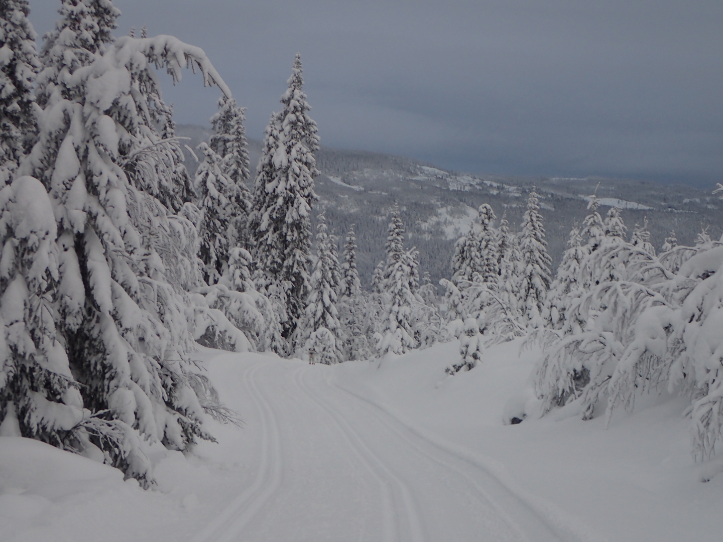 Innkomne saker til årsmøtet