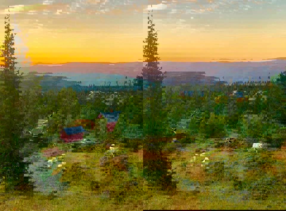 Sommerkampanje medlemskap 