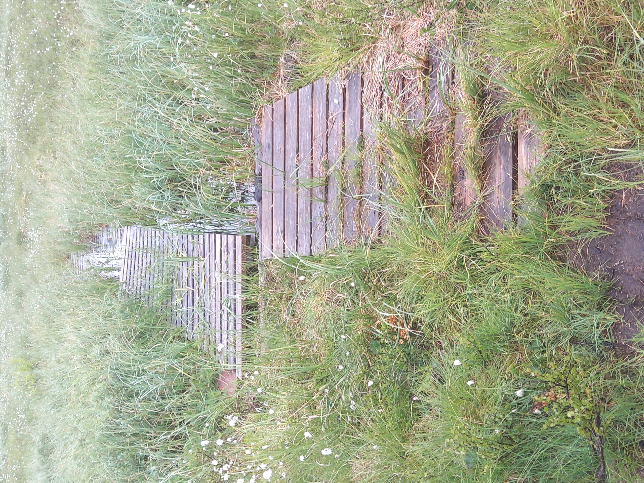 KLopper på Liaåsen