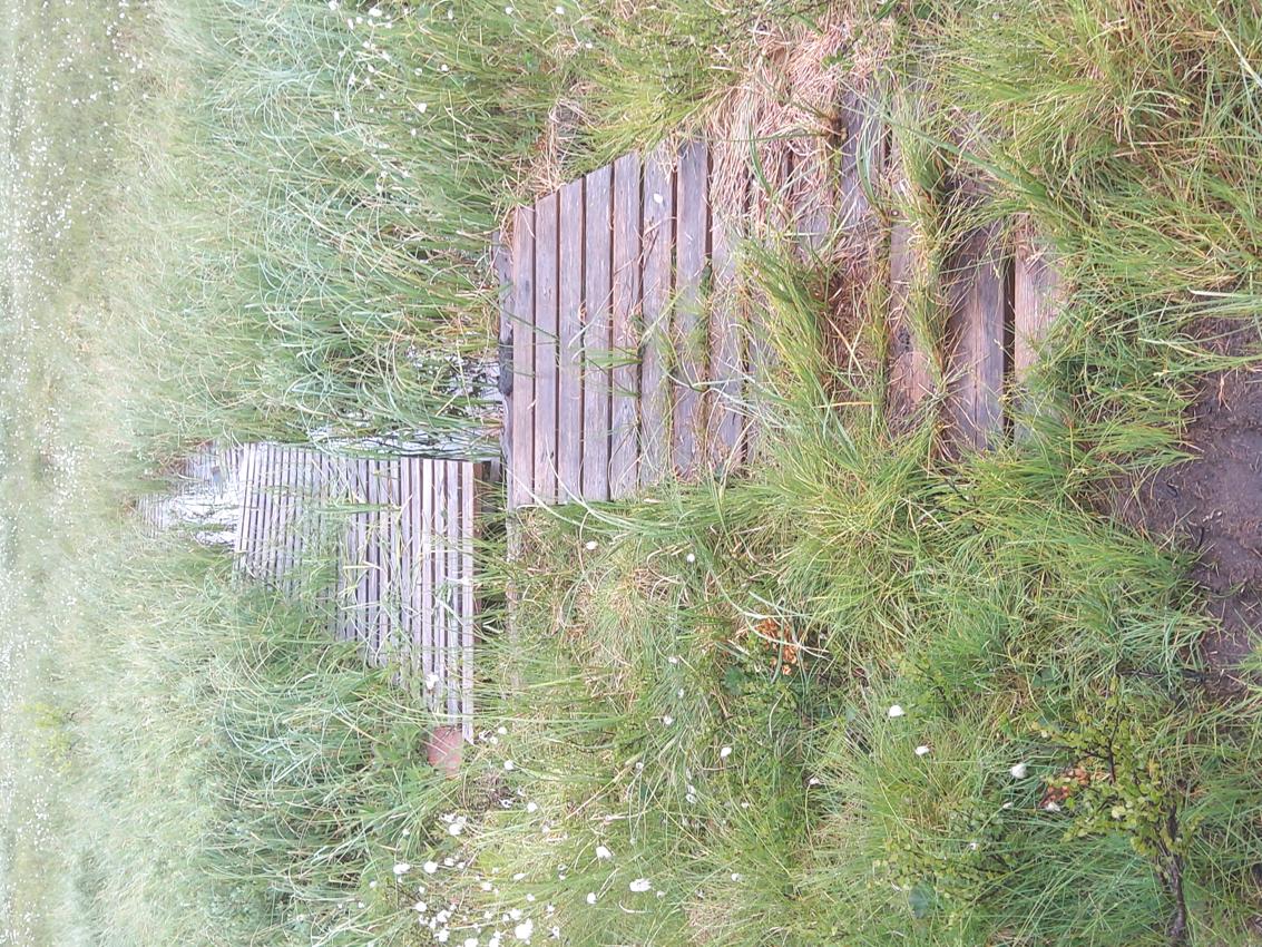 KLopper på Liaåsen