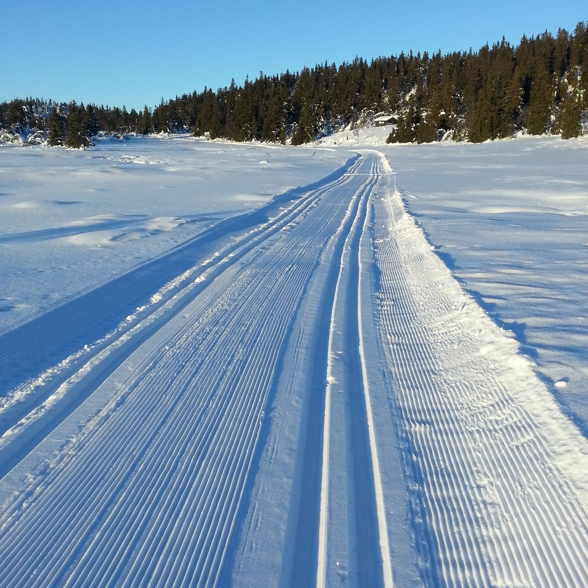 Orientering fra Liaåsen Hyttevel